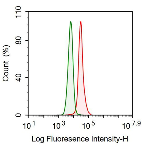 Monoclonal Antibody to Visfatin (VF)