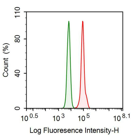 Monoclonal Antibody to Complement component 1 Q subcomponent-binding protein, mitochondrial (C1QBP)