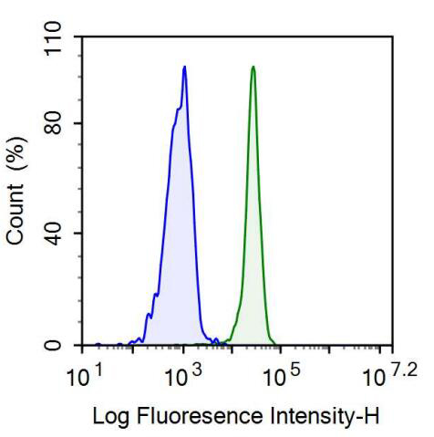 Monoclonal Antibody to Homing Associated Cell Adhesion Molecule (HCAM)