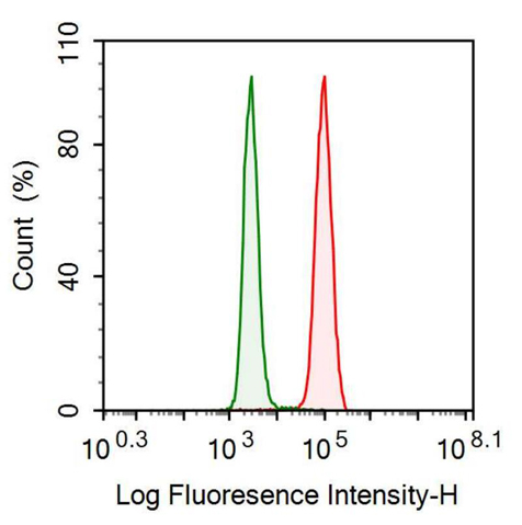 Monoclonal Antibody to C Reactive Protein (CRP)