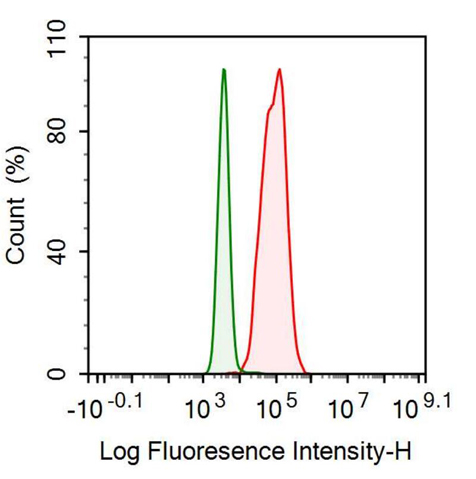 Monoclonal Antibody to Cytokeratin 18 (CK18)