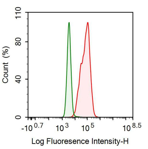 Monoclonal Antibody to Cytokeratin 18 (CK18)