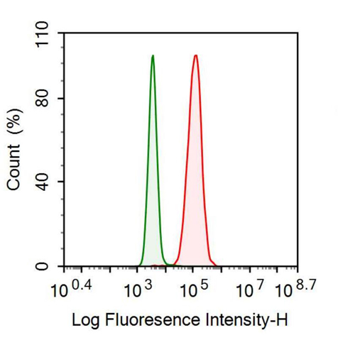 Monoclonal Antibody to Cytokeratin 18 (CK18)