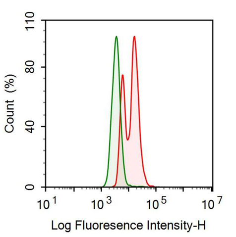 Monoclonal Antibody to Cytokeratin 18 (CK18)