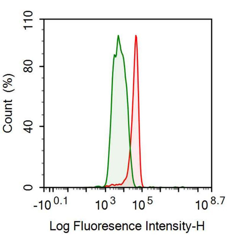 Monoclonal Antibody to Tubulin Beta (TUBb)