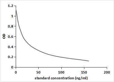 Monoclonal Antibody to Reverse Triiodothyronine (rT3)