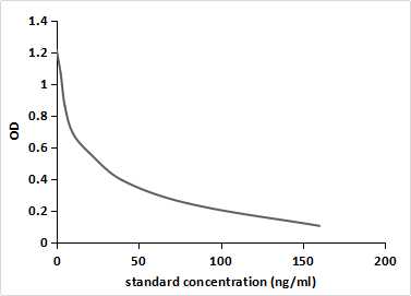 Monoclonal Antibody to Reverse Triiodothyronine (rT3)