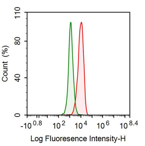 Monoclonal Antibody to Histone Deacetylase 1 (HDAC1)