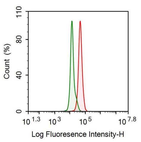 Polyclonal Antibody to Stromal Cell Derived Factor 1 (SDF1)