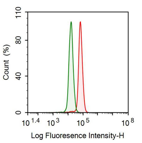 Polyclonal Antibody to Pepsinogen A (PGA)