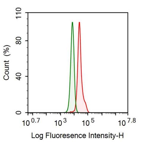 Polyclonal Antibody to Galactosidase Alpha (GLa)