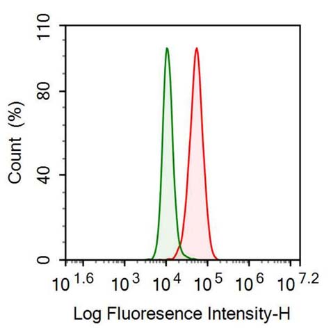 Polyclonal Antibody to Mucin 1 (MUC1)