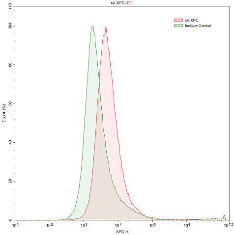 Polyclonal Antibody to Xeroderma Pigmentosum, Complementation Group C (XPC)