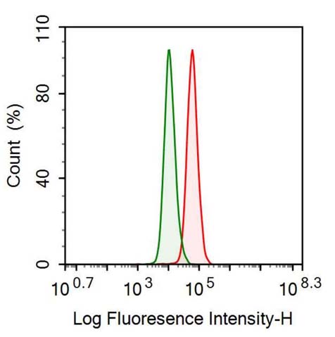 Polyclonal Antibody to Enolase, Neuron Specific (NSE)