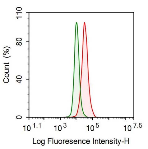 Polyclonal Antibody to Leukemia Inhibitory Factor Receptor (LIFR)