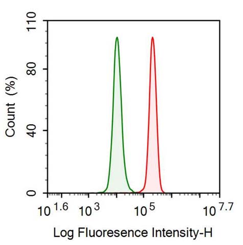 Polyclonal Antibody to Leukemia Inhibitory Factor Receptor (LIFR)