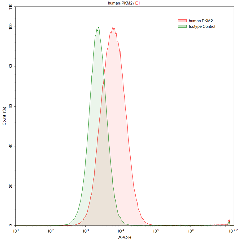 Polyclonal Antibody to Pyruvate kinase isozymes M2 (PKM2)