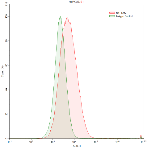 Polyclonal Antibody to Pyruvate kinase isozymes M2 (PKM2)