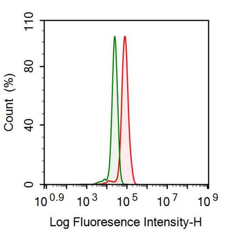 Polyclonal Antibody to Hepatoma Derived Growth Factor (HDGF)