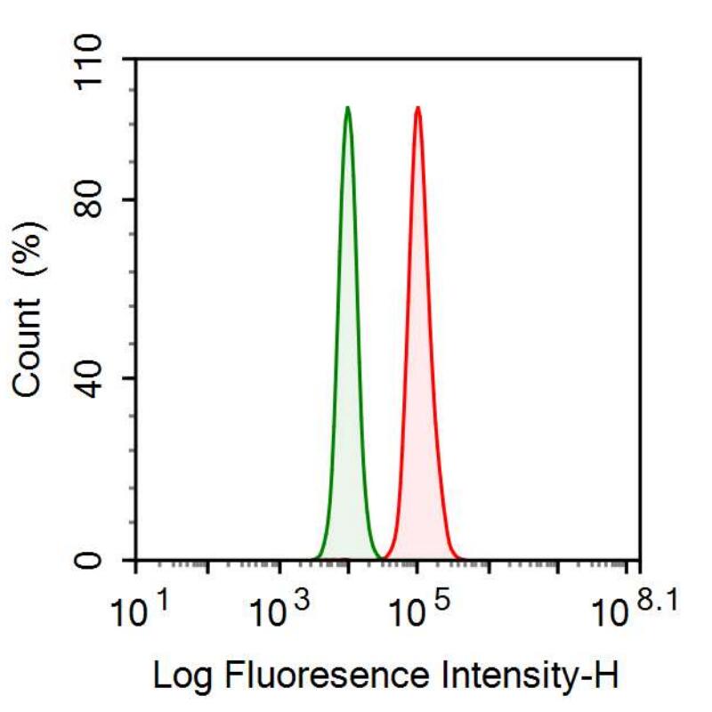 Polyclonal Antibody to Complement component 1 Q subcomponent-binding protein, mitochondrial (C1QBP)