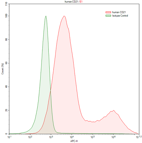 Polyclonal Antibody to Complement Receptor 2 (CD21)