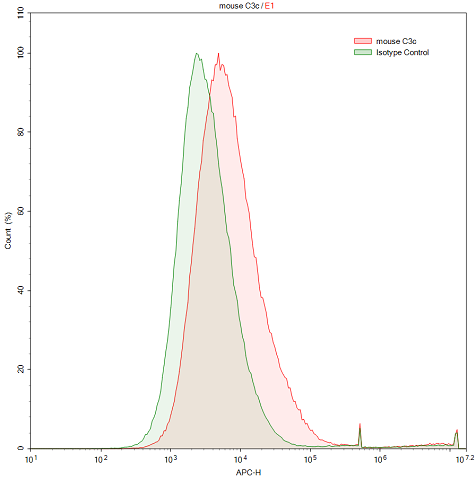 Polyclonal Antibody to Complement C3 Convertase (C3 Convertase)