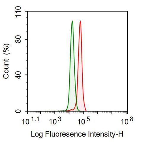 Polyclonal Antibody to Complement Factor P (CFP)