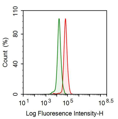 Polyclonal Antibody to Pregnancy Associated Plasma Protein A (PAPPA)