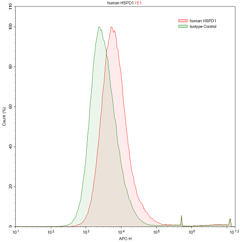 Polyclonal Antibody to Heat Shock Protein 60 (Hsp60)