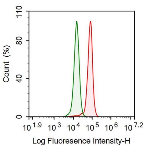 Polyclonal Antibody to Osteopontin (OPN)