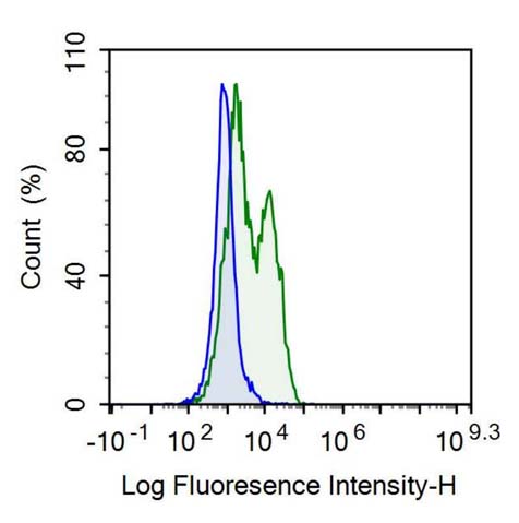 Polyclonal Antibody to Cluster Of Differentiation 6 (CD6)