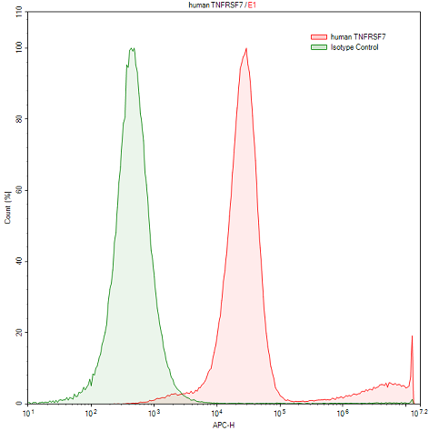 Polyclonal Antibody to Tumor Necrosis Factor Receptor Superfamily, Member 7 (TNFRSF7)