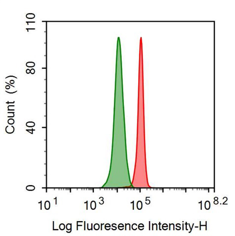 Polyclonal Antibody to Heat Shock 70kDa Protein 1 Like Protein (HSPA1L)