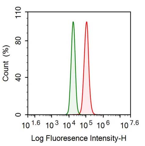 Polyclonal Antibody to Glutathione S Transferase Pi (GSTp)