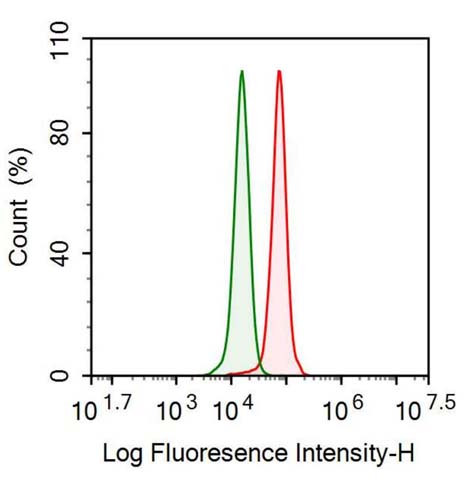 Polyclonal Antibody to Fibrinogen Beta Chain (FGB)