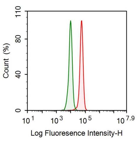 Polyclonal Antibody to Fibrinogen Beta Chain (FGB)