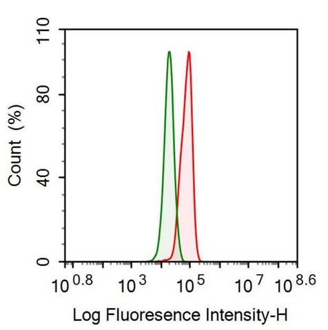 Polyclonal Antibody to Fibrinogen Beta Chain (FGB)