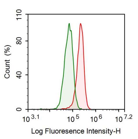 Polyclonal Antibody to Integrin Beta 4 (ITGb4)