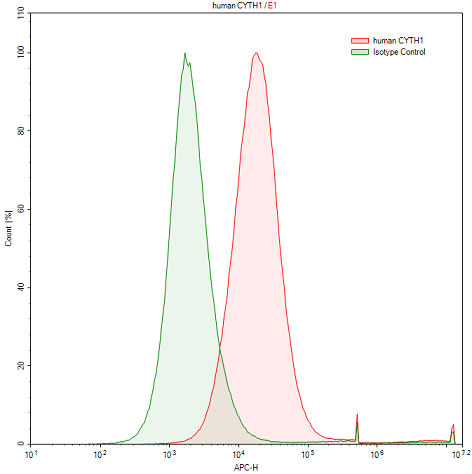 Polyclonal Antibody to Cytohesin 1 (CYTH1)