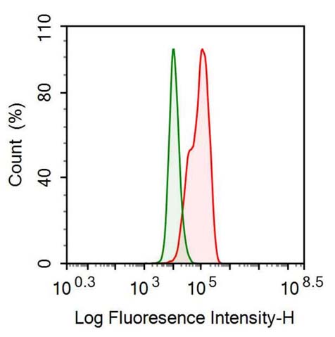 Polyclonal Antibody to Golgi Phosphoprotein 2 (GOLPH2)