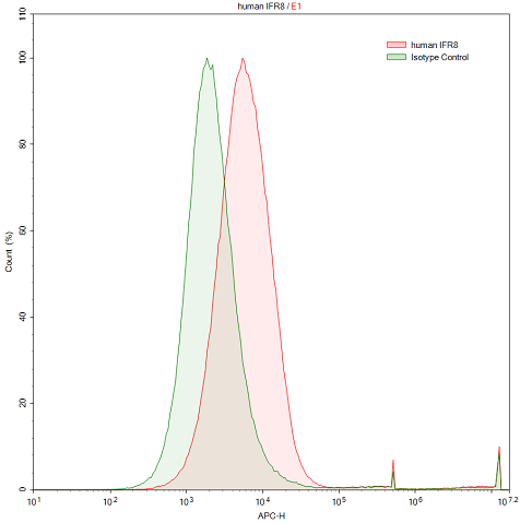 Polyclonal Antibody to Interferon Regulatory Factor 8 (IRF8)