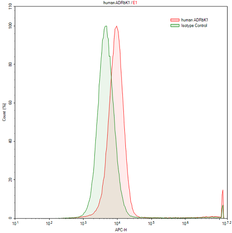 Polyclonal Antibody to Beta Adrenergic Receptor Kinase (BARK)