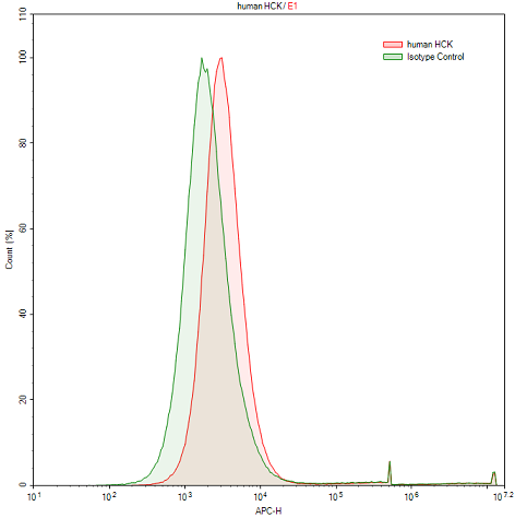 Polyclonal Antibody to Hemopoietic Cell Kinase (HCK)