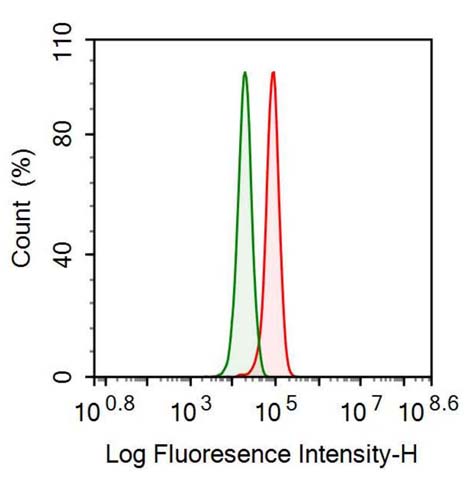 Polyclonal Antibody to Lectin, Mannose Binding 1 (LMAN1)