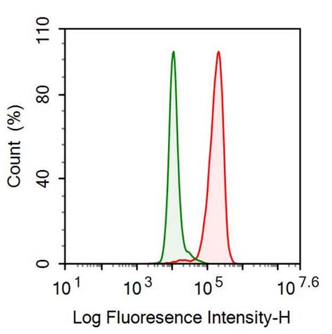 Polyclonal Antibody to Thymopoietin (TMPO)