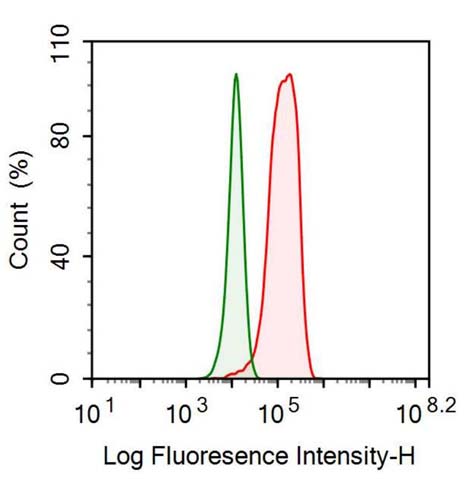 Polyclonal Antibody to Hexokinase 2 (HK2)