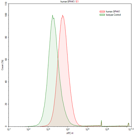 Polyclonal Antibody to Sphingosine Kinase 1 (SPHK1)