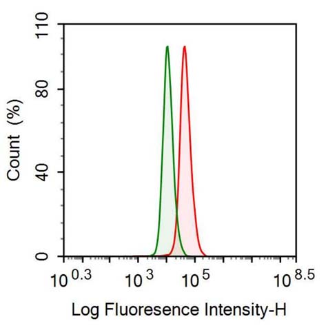 Polyclonal Antibody to Histone Deacetylase 4 (HDAC4)