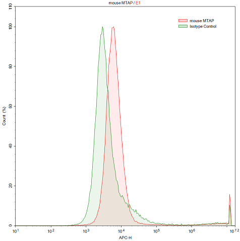 Polyclonal Antibody to Methylthioadenosine Phosphorylase (MTAP)