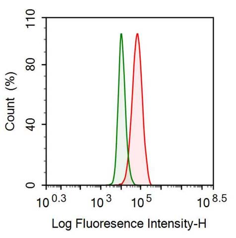 Polyclonal Antibody to Ubiquitin Carboxyl Terminal Hydrolase L1 (UCHL1)